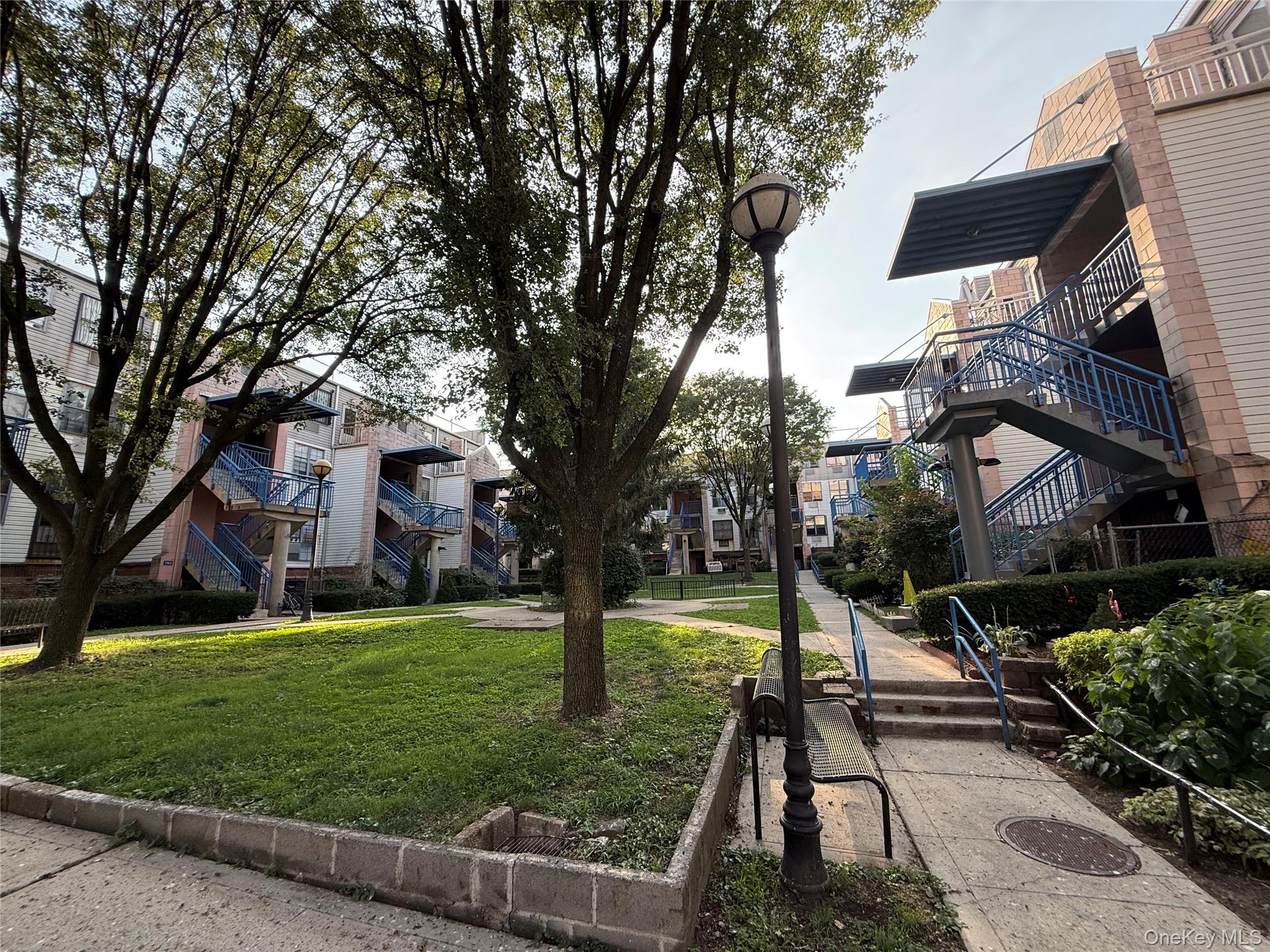 769 St Ann's Avenue, Unit B Bronx, NY 10456 - Photo 30 of 48 a view of a yard with plants and a large tree