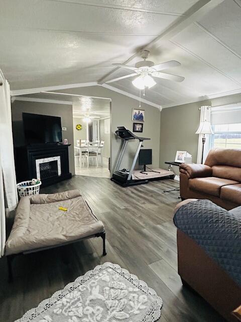 19196 Fillmore Road Stanwood, MI 49346 - Photo 5 of 14 IMG_4980