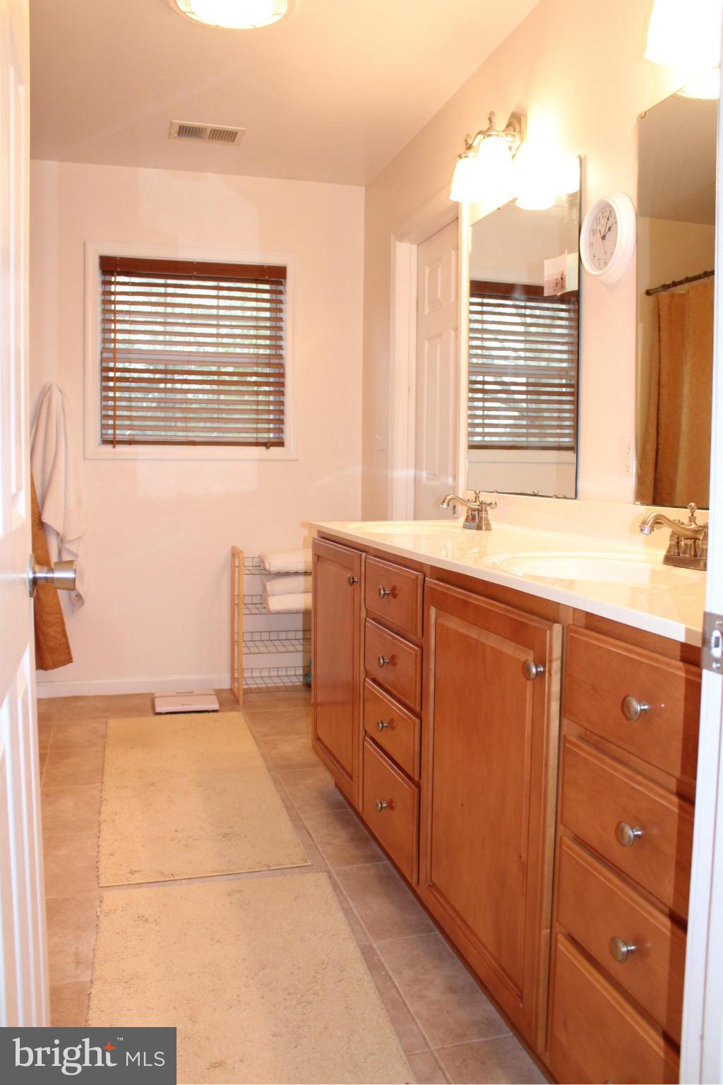 890 Laurel Grove Road Winchester, VA 22602 - Photo 16 of 27 Bath (Master)