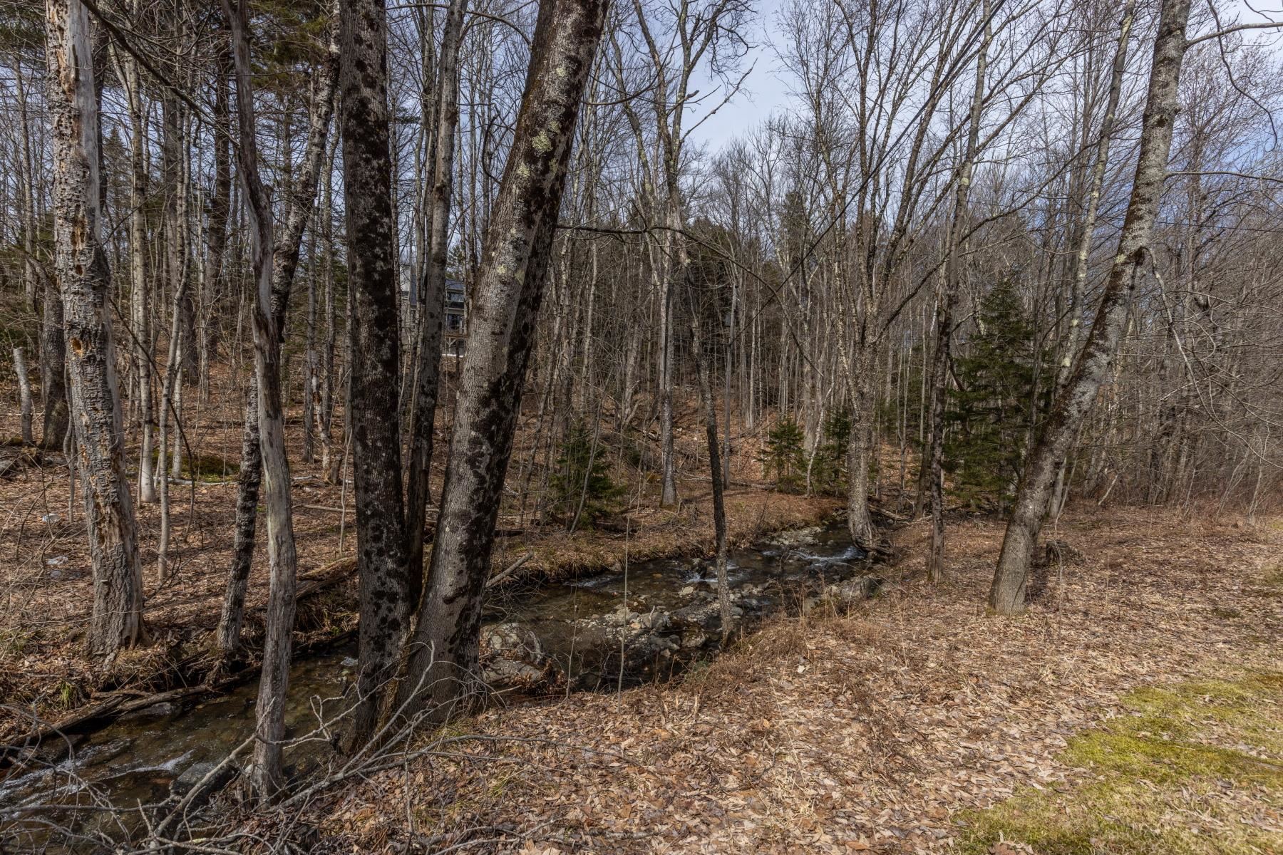91 Manlin Road Fayston, VT 05673 - Photo 53 of 60