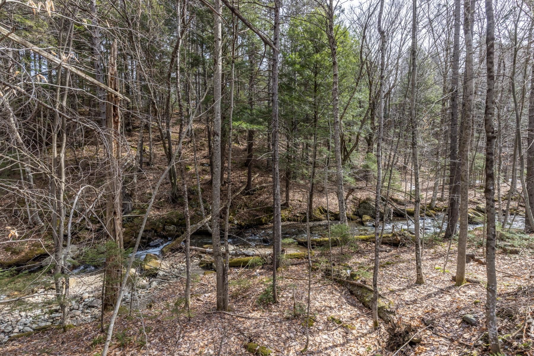 91 Manlin Road Fayston, VT 05673 - Photo 54 of 60