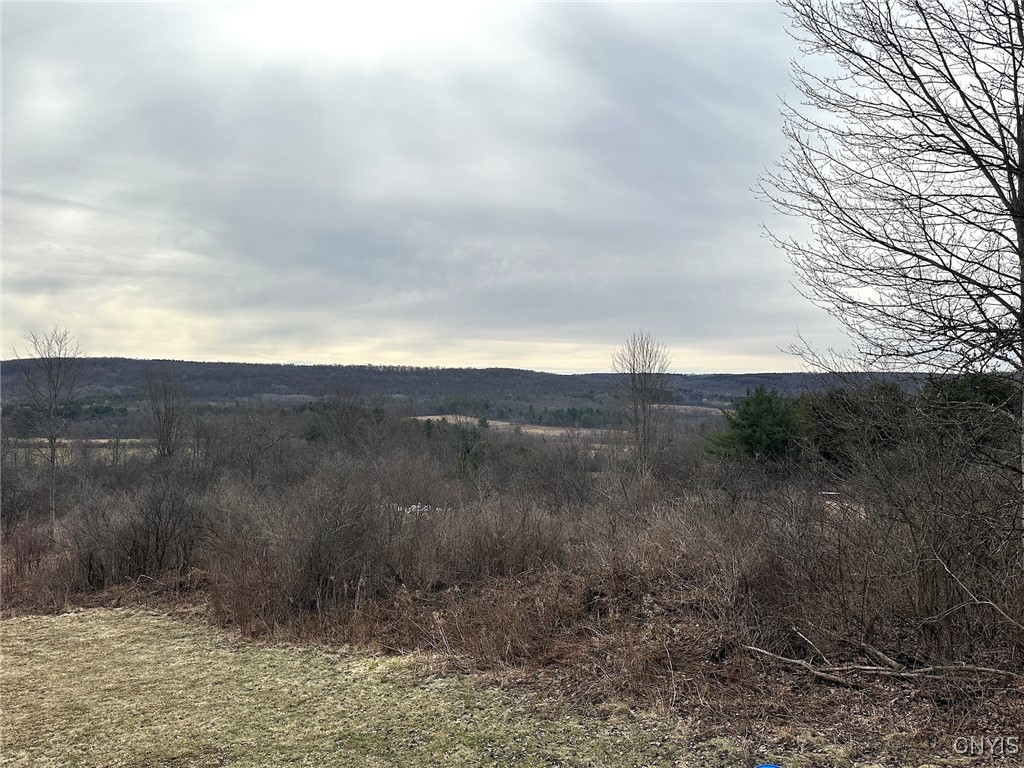 8302 Basswood Hill Road Allen, NY 14709 - Photo 15 of 27