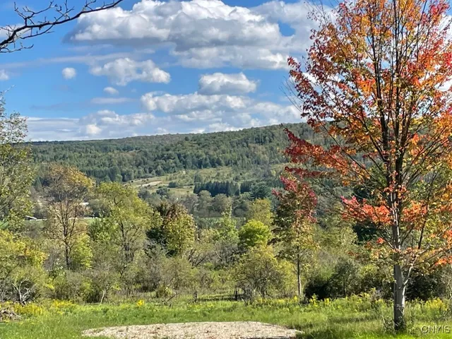 $45,000 | 8302 Basswood Hill Road, Allen, NY 14709