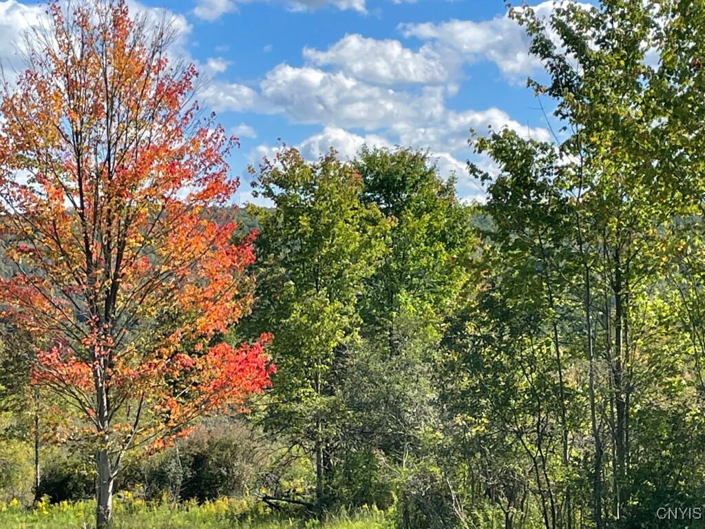 8302 Basswood Hill Road Allen, NY 14709 - Photo 18 of 27