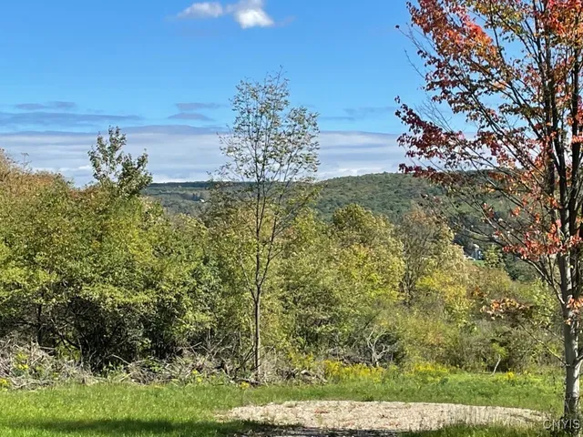 $45,000 | 8302 Basswood Hill Road, Allen, NY 14709