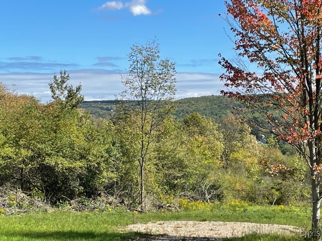 8302 Basswood Hill Road Allen, NY 14709 - Photo 19 of 27