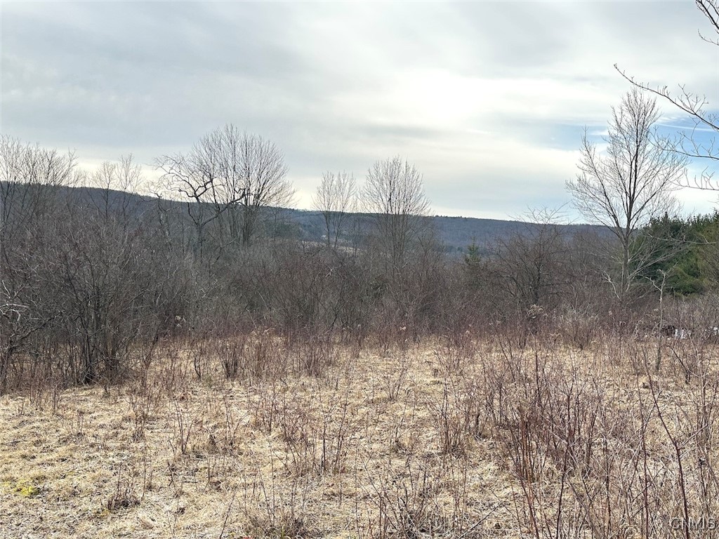 8302 Basswood Hill Road Allen, NY 14709 - Photo 21 of 27