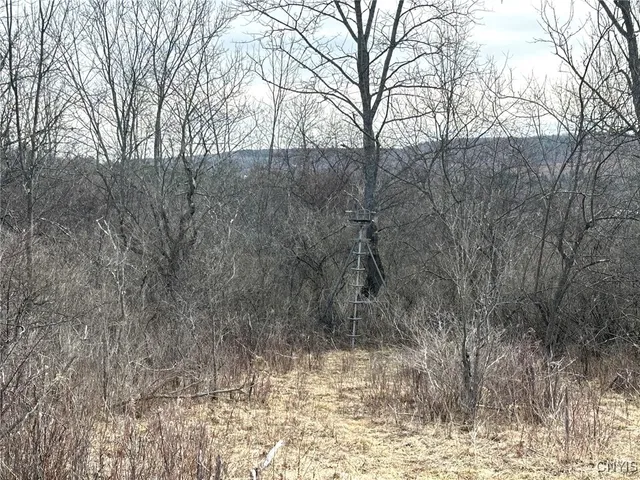 $45,000 | 8302 Basswood Hill Road, Allen, NY 14709