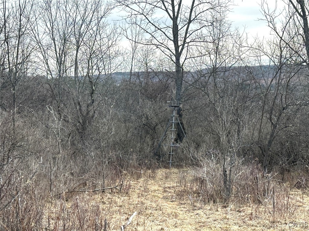 8302 Basswood Hill Road Allen, NY 14709 - Photo 22 of 27