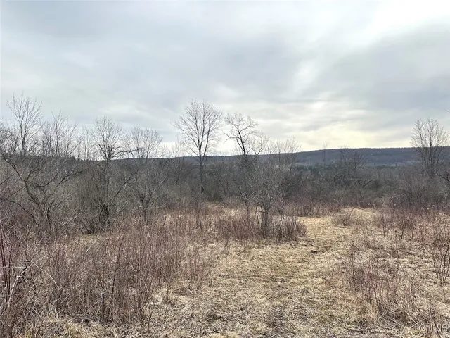 $45,000 | 8302 Basswood Hill Road, Allen, NY 14709