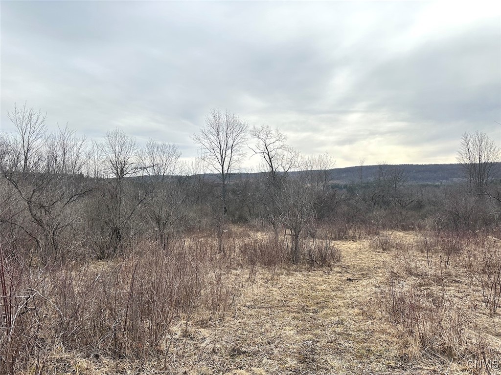 8302 Basswood Hill Road Allen, NY 14709 - Photo 23 of 27