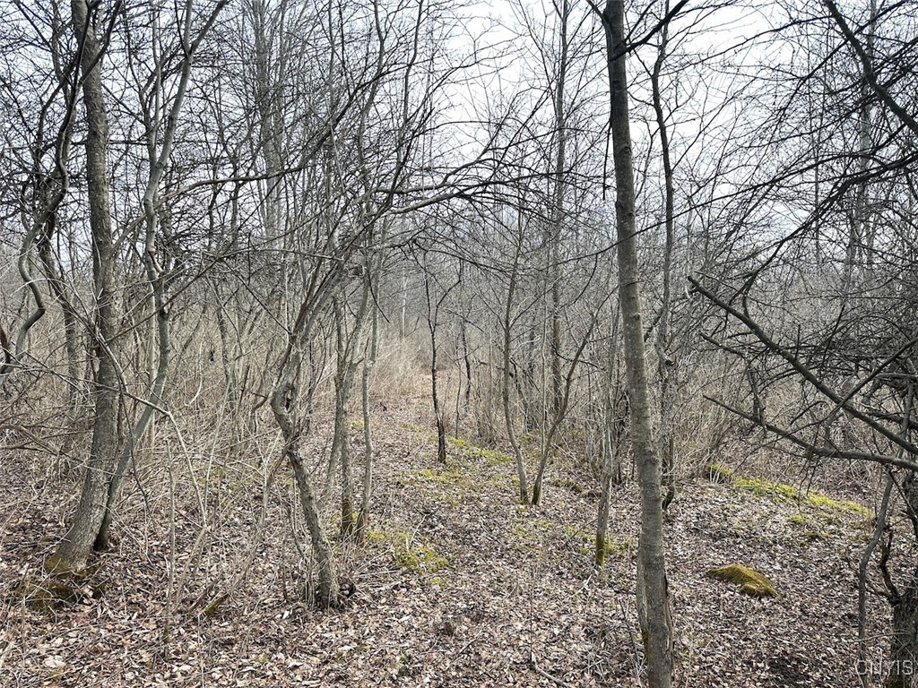 8302 Basswood Hill Road Allen, NY 14709 - Photo 24 of 27