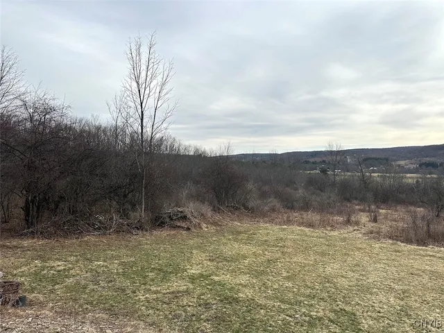 $45,000 | 8302 Basswood Hill Road, Allen, NY 14709