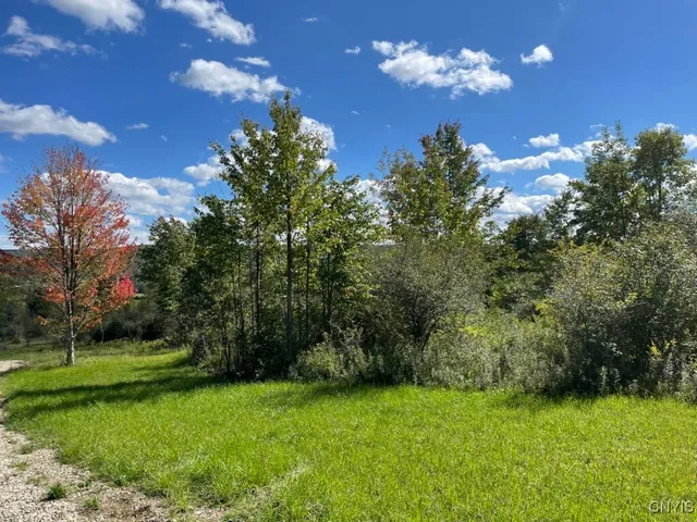 $45,000 | 8302 Basswood Hill Road, Allen, NY 14709