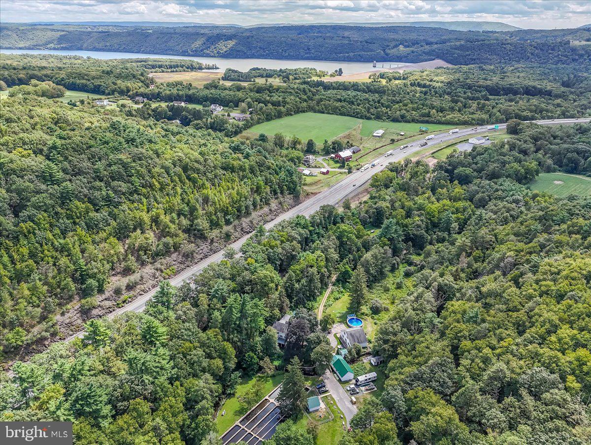 3585 Fairyland Road Lehighton, PA 18235 - Photo 101 of 109 a view of a lush green forest with lots of trees