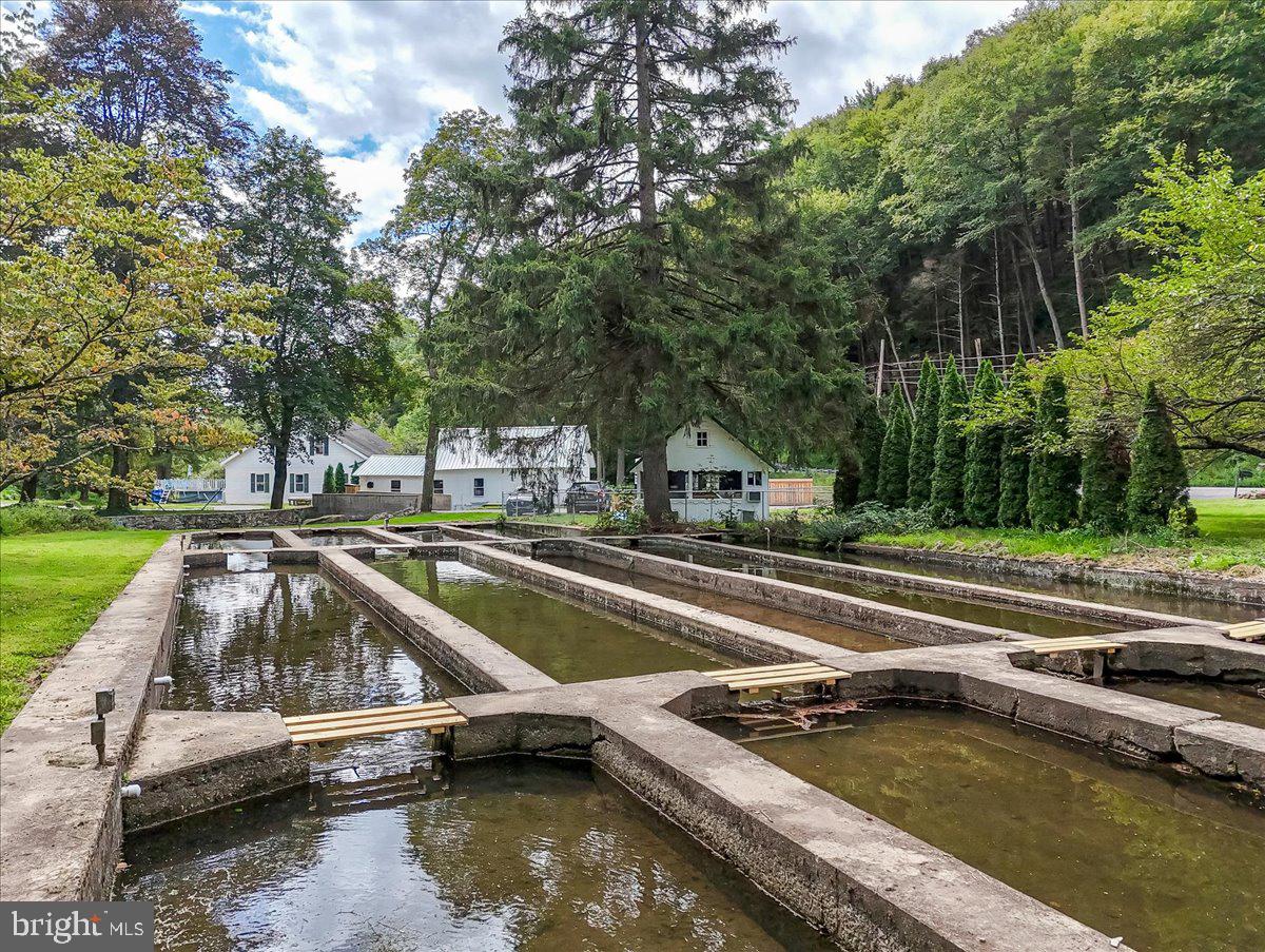 3585 Fairyland Road Lehighton, PA 18235 - Photo 86 of 109