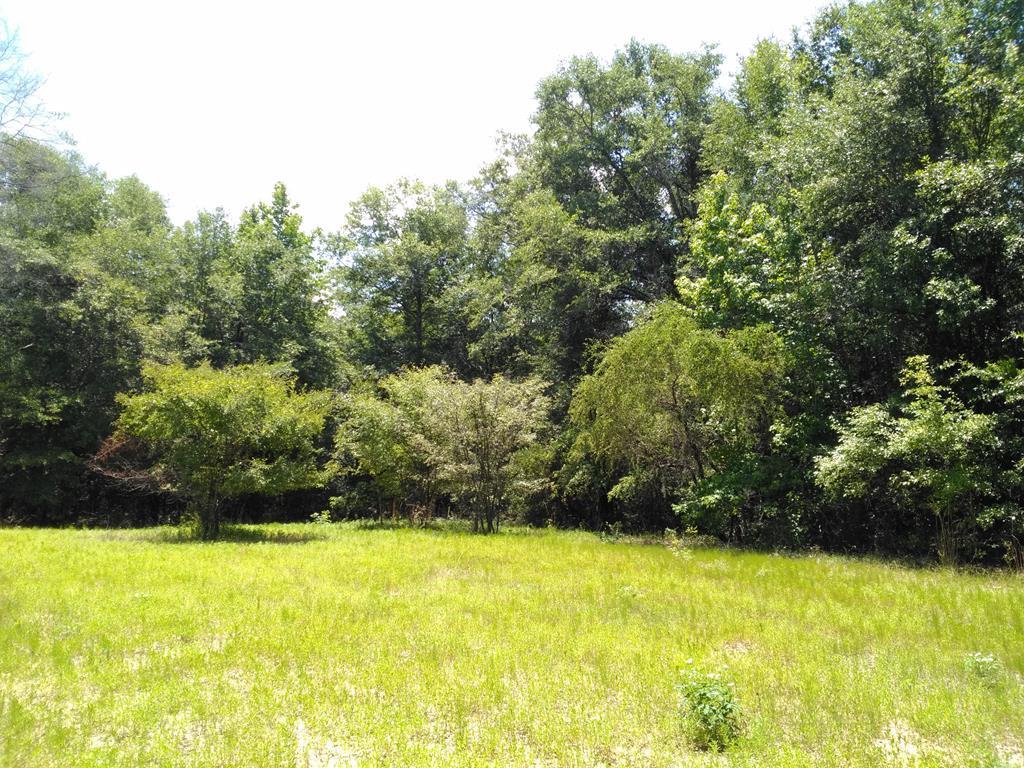 0 County Road 181 Abbeville, AL 36310 - Photo 1 of 1 Main View