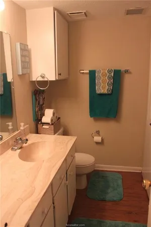 a bathroom with a sink toilet and mirror