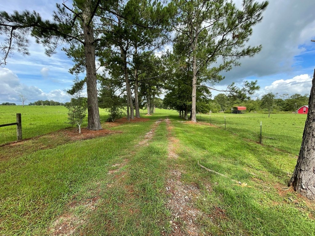8471 Salem Road Pavo, GA 31778 - Photo 13 of 71 Gallery Image 13