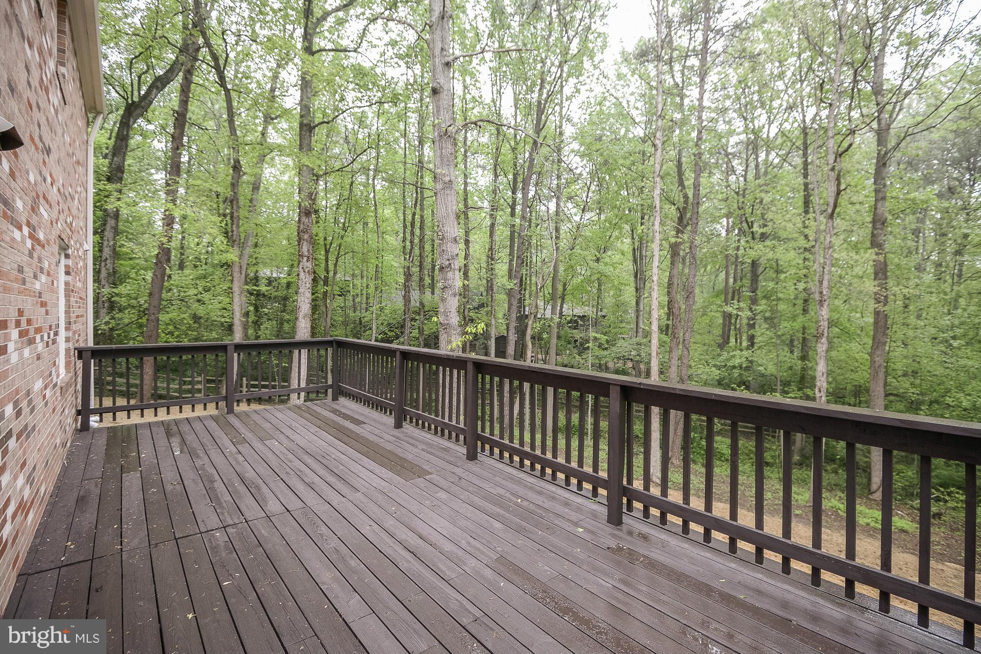11201 Hunting Horn Lane Reston, VA 20191 - Photo 28 of 30 Exterior (Rear)