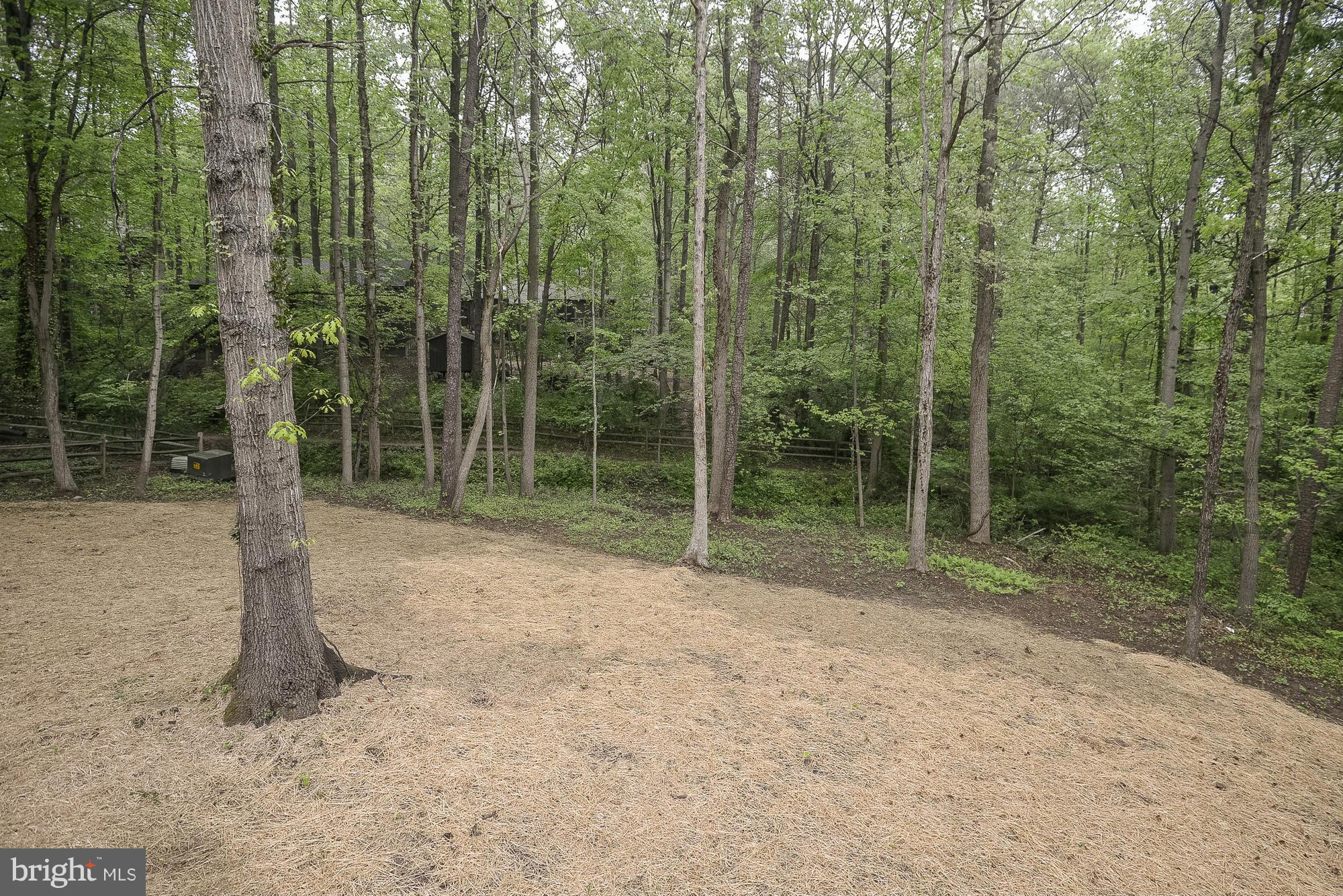 11201 Hunting Horn Lane Reston, VA 20191 - Photo 29 of 30 View