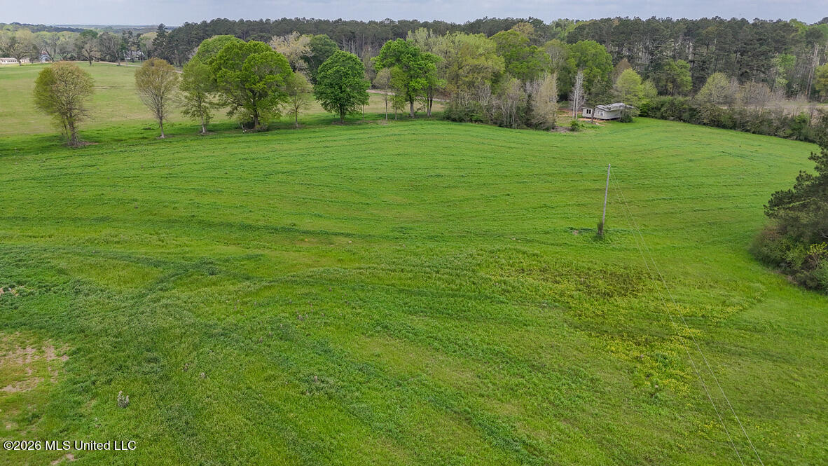 6594 Miller Road Smithdale, MS 39664 - Photo 20 of 45 97616C93-C5F0-49B2-99CE-A6DE84AEBE16_1_1