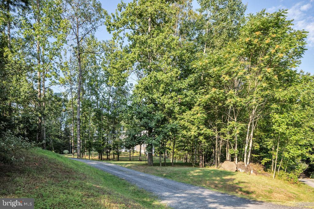 11474 Dutch Hollow Road Culpeper, VA 22701 - Photo 5 of 39 Gallery Image 5