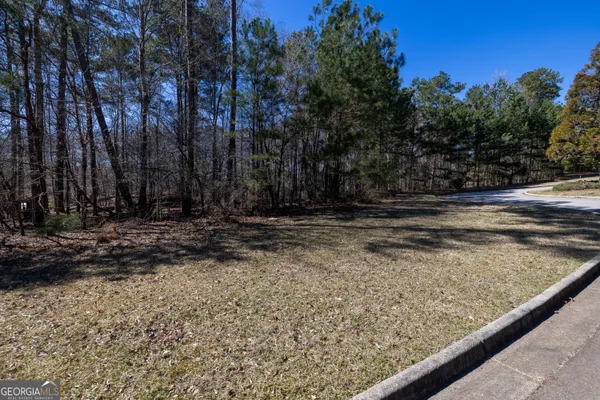 a view of a backyard with trees