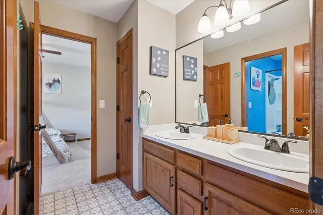 a bathroom with a double vanity sink a mirror and a shower