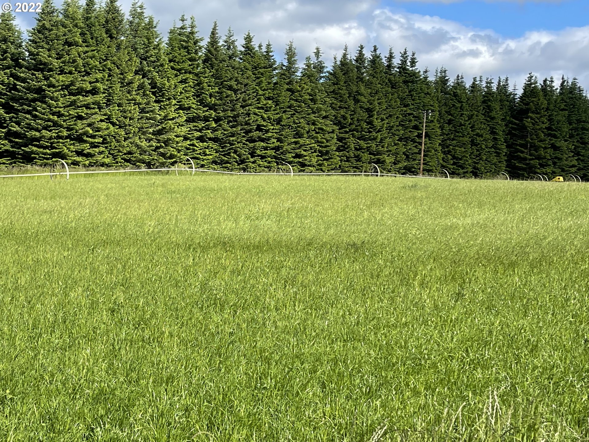 42 Stoller Road Trout Lake, WA 98650 - Photo 11 of 20 Gallery Image 11