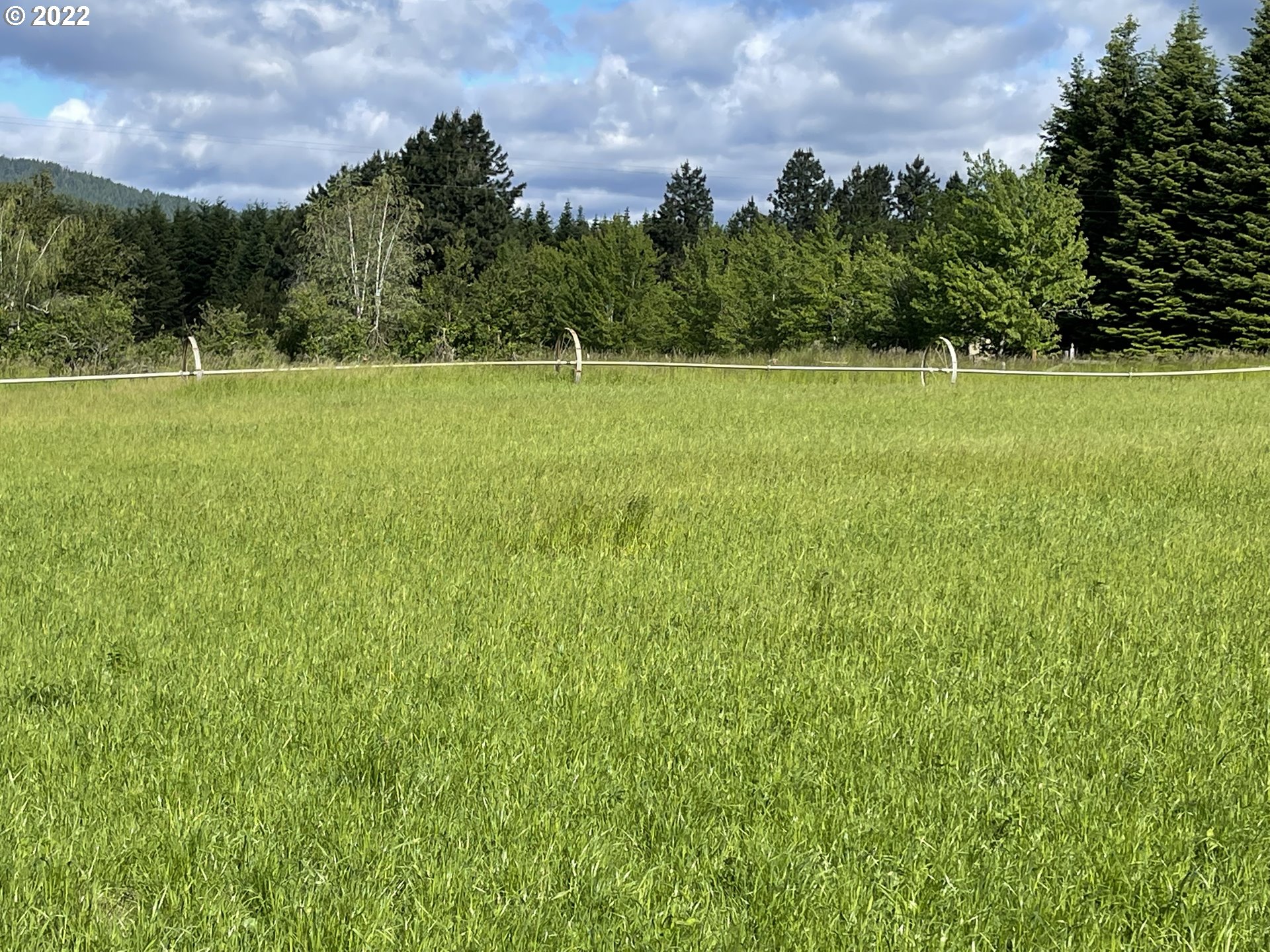 42 Stoller Road Trout Lake, WA 98650 - Photo 12 of 20 Gallery Image 12