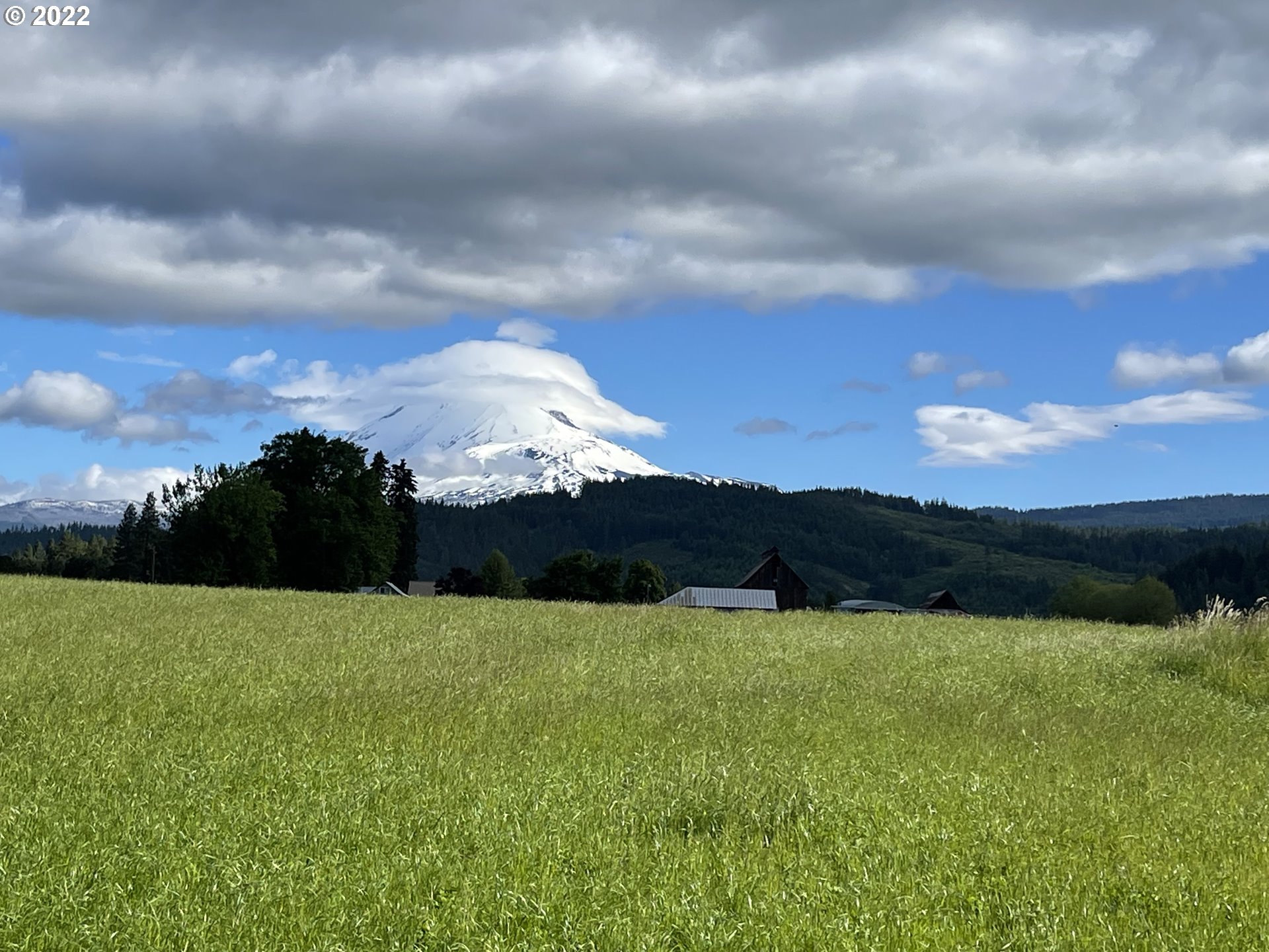 42 Stoller Road Trout Lake, WA 98650 - Photo 13 of 20 Gallery Image 13