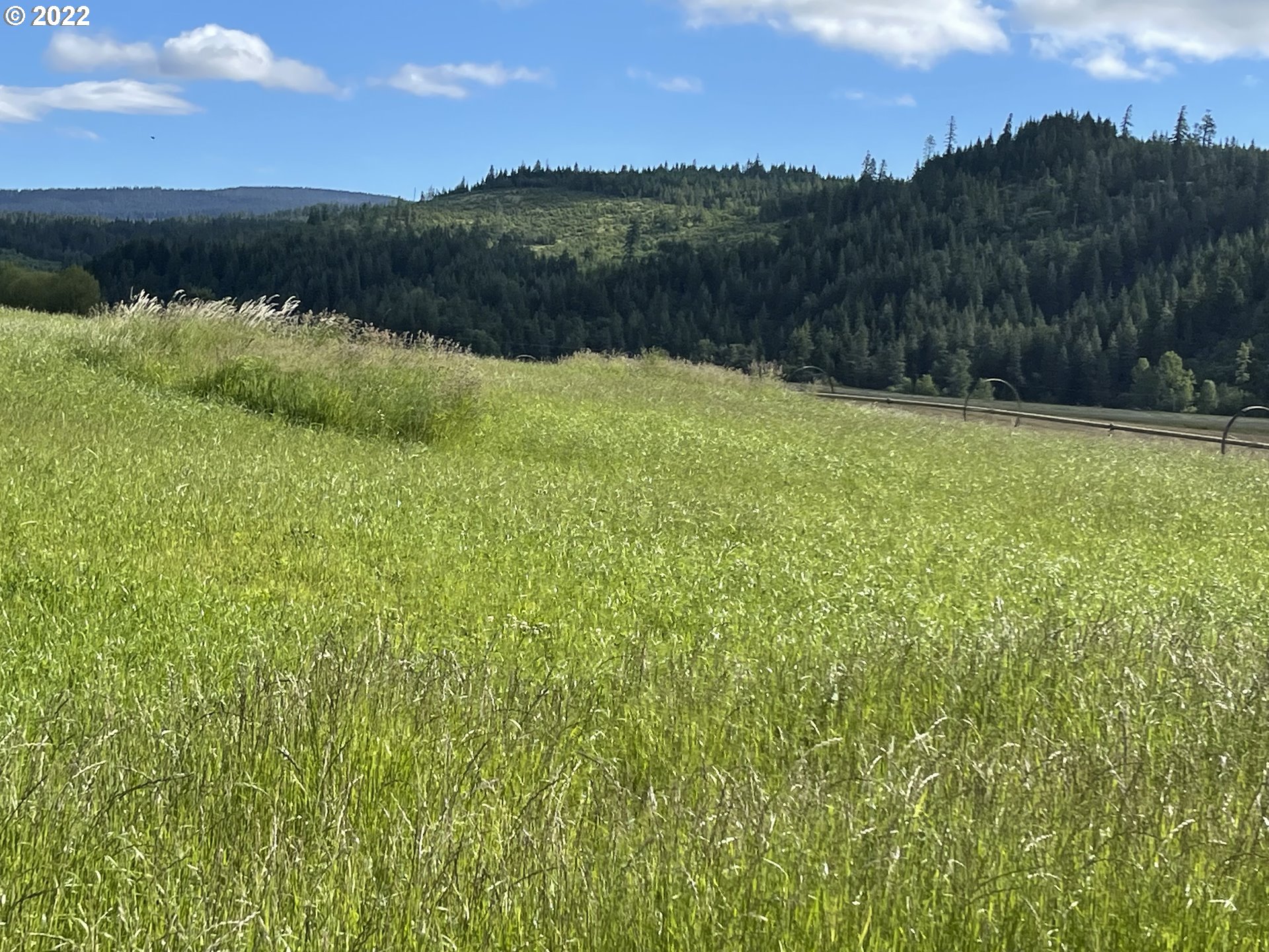 42 Stoller Road Trout Lake, WA 98650 - Photo 14 of 20 Gallery Image 14