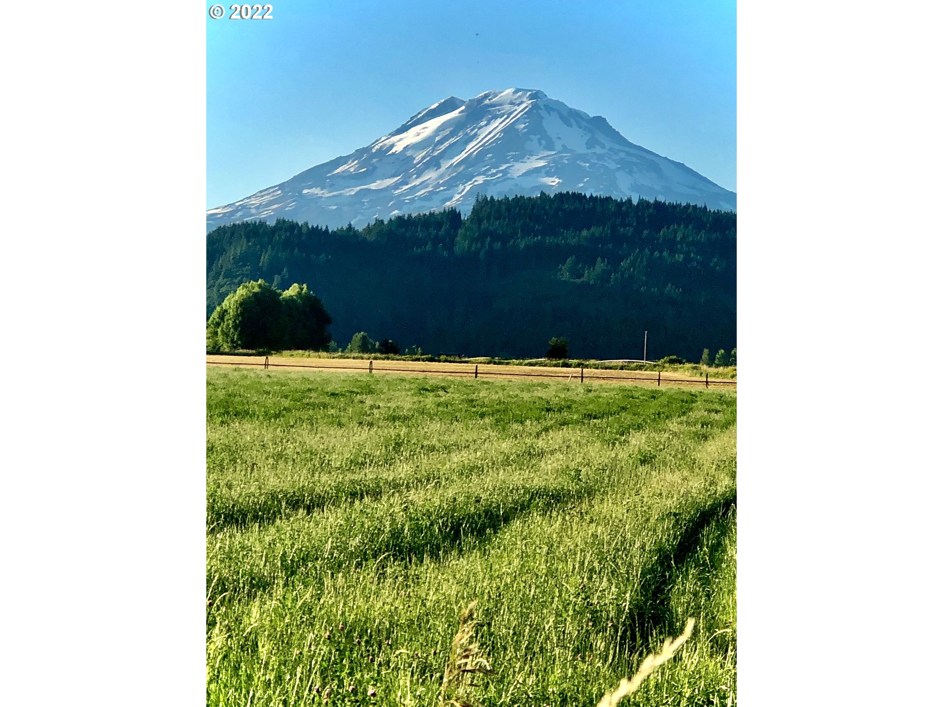42 Stoller Road Trout Lake, WA 98650 - Photo 2 of 20 Gallery Image 2