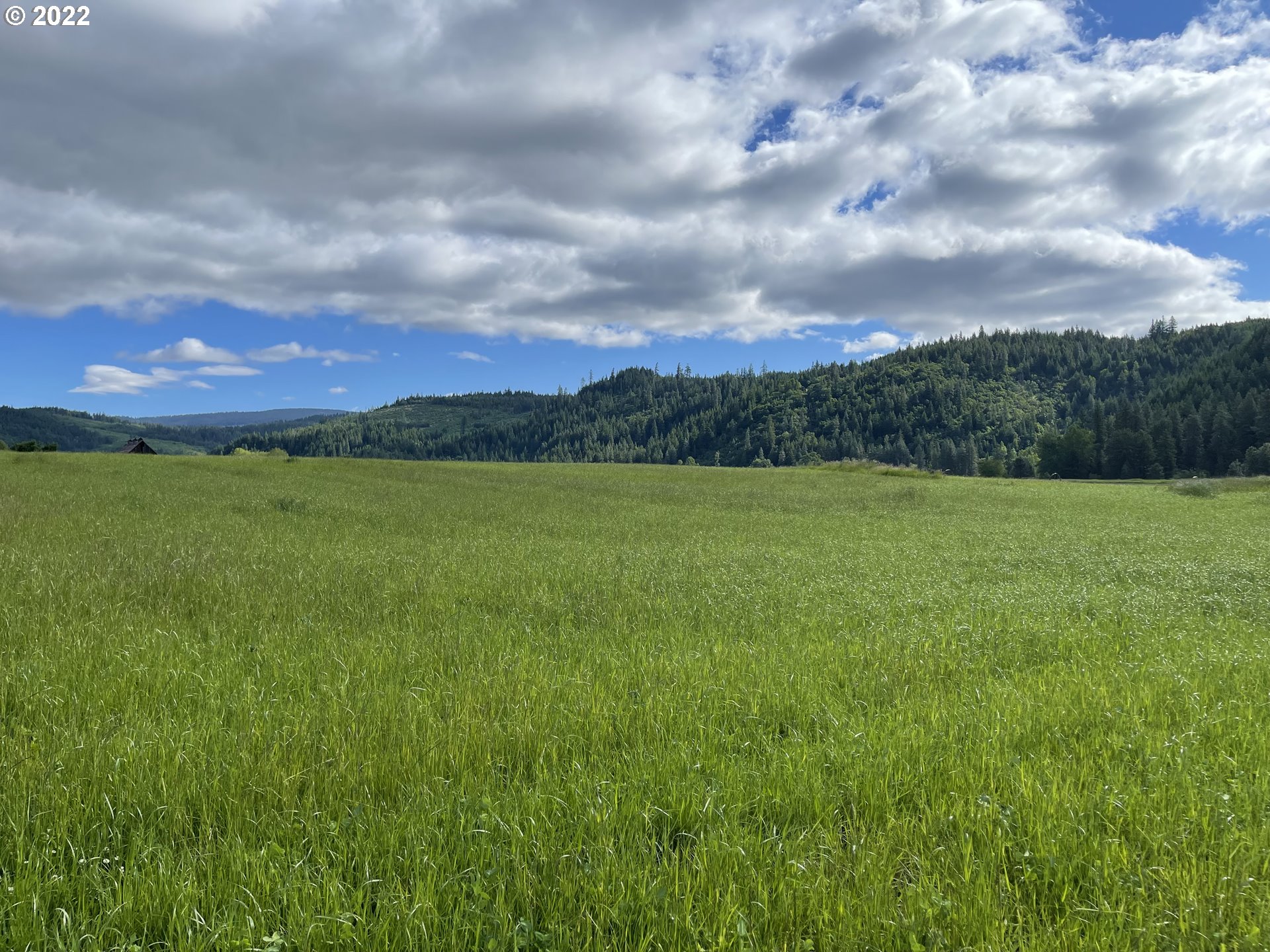42 Stoller Road Trout Lake, WA 98650 - Photo 5 of 20 Gallery Image 5