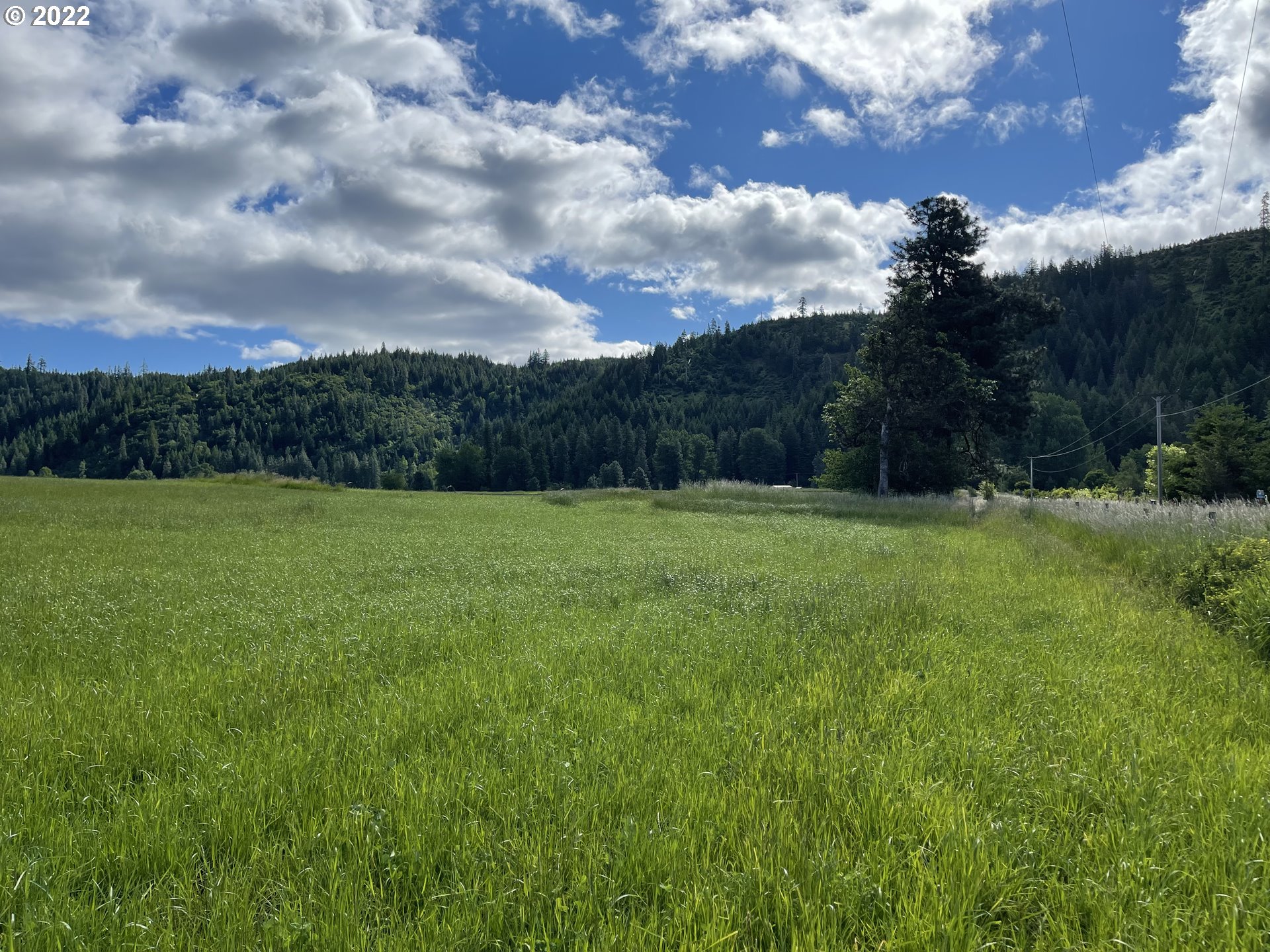 42 Stoller Road Trout Lake, WA 98650 - Photo 6 of 20 Gallery Image 6