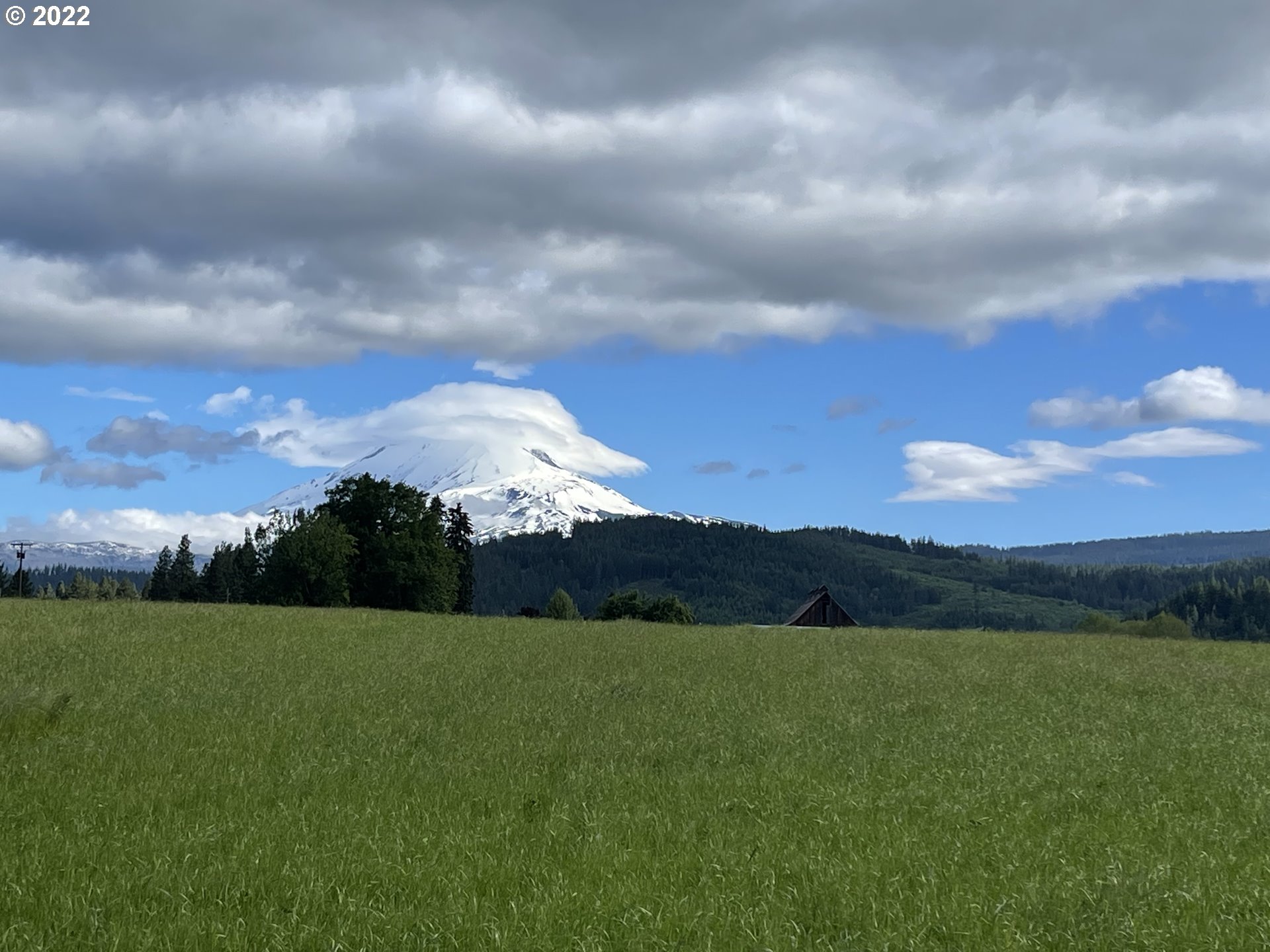 42 Stoller Road Trout Lake, WA 98650 - Photo 8 of 20 Gallery Image 8