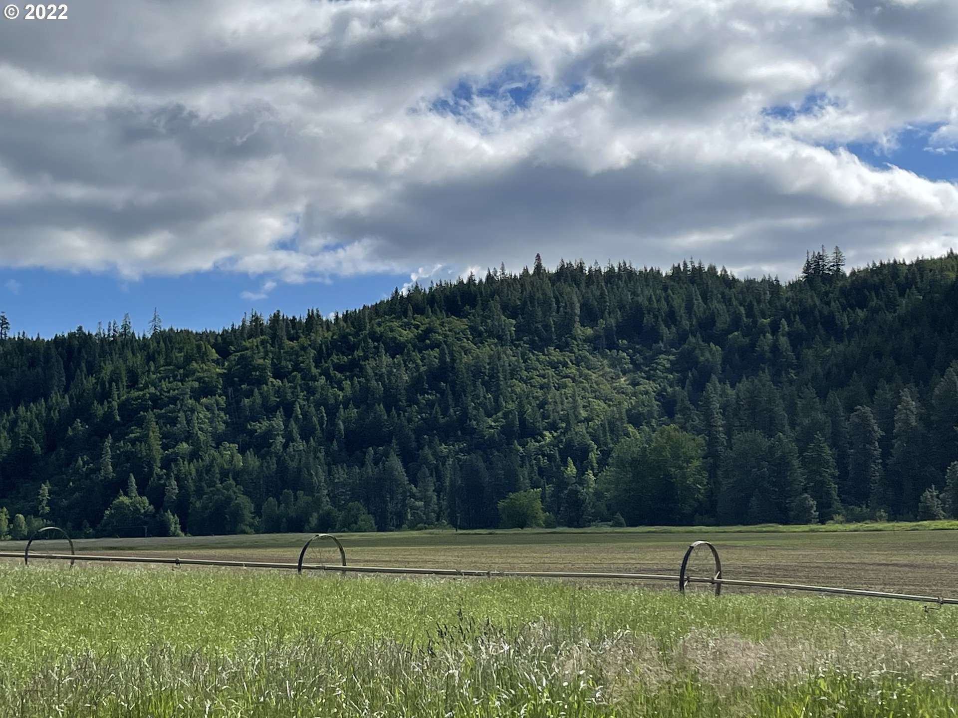 42 Stoller Road Trout Lake, WA 98650 - Photo 9 of 20 Gallery Image 9