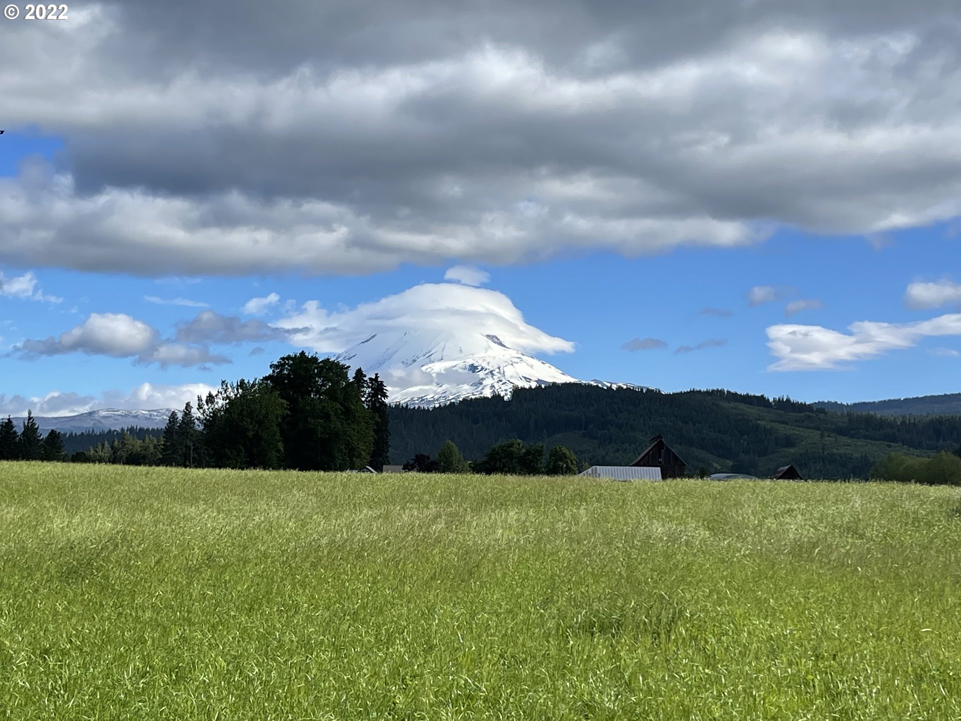 42 Stoller Road Trout Lake, WA 98650 - Photo 10 of 20 Gallery Image 10