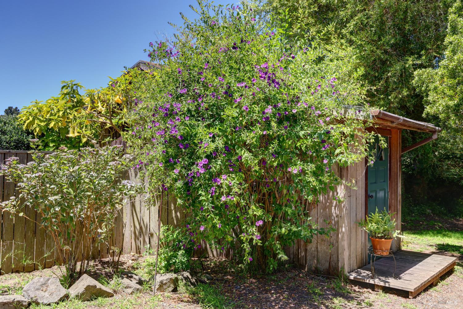 385 Cedar Road Bolinas, CA 94924 - Photo 65 of 70
