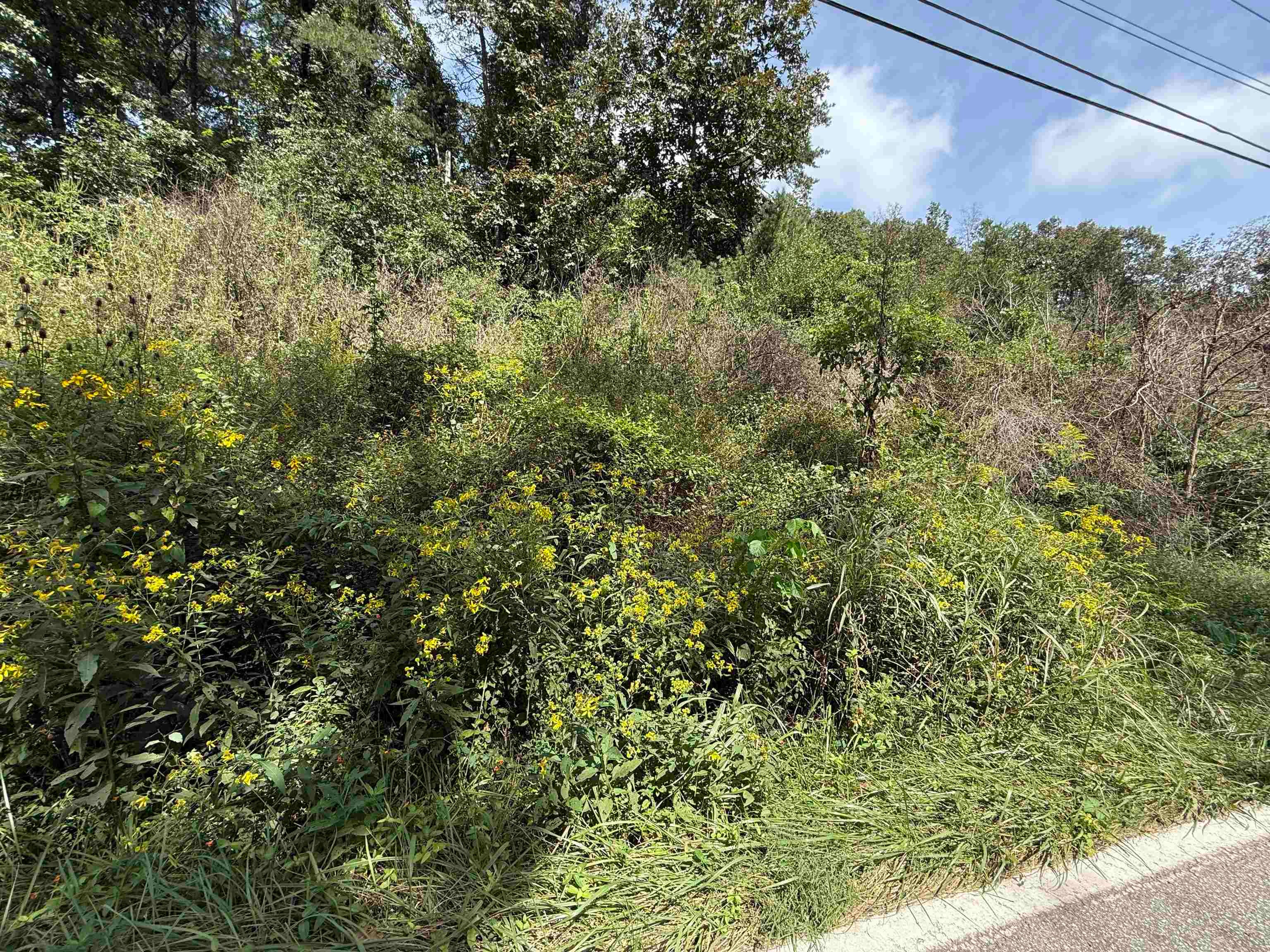 0 East Mud River Road Milton, WV 25541 - Photo 1 of 5 Gallery Image 1