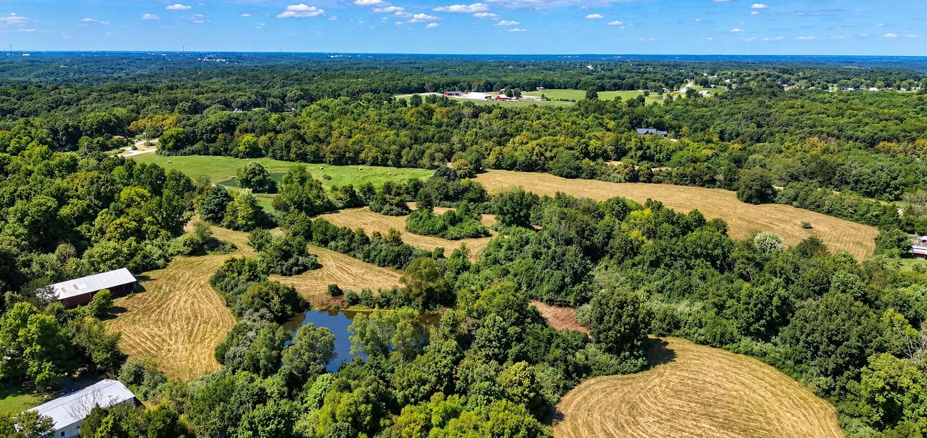 8 3.58 Ac State Road Holts Summit, MO 65043 - Photo 4 of 16 Gallery Image 4