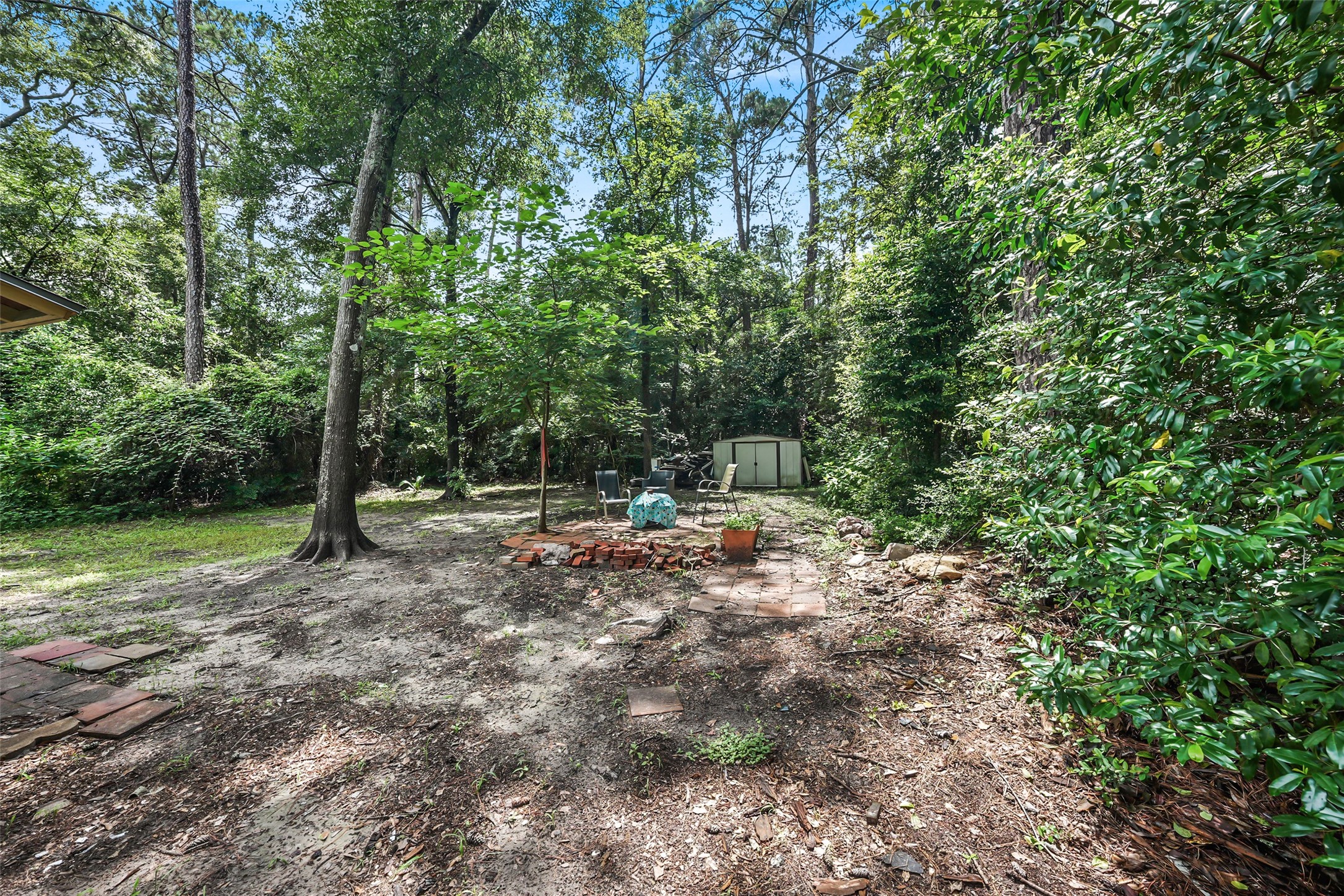 6387 Oak Knoll Road Montgomery, TX 77316 - Photo 21 of 30 a view of a yard with a tree