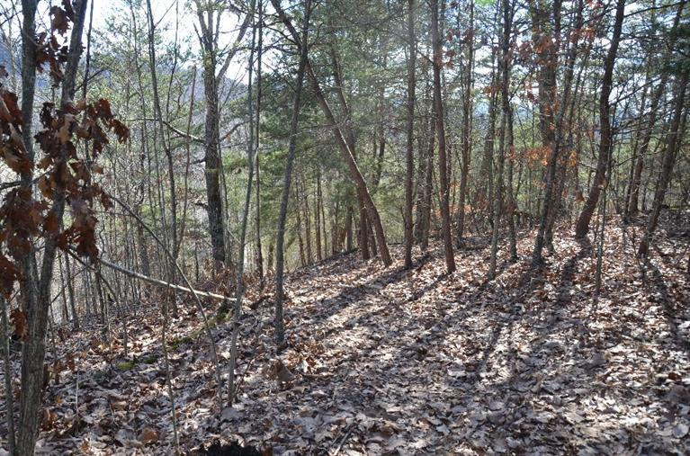 1000 White Oak Road Irvine, KY 40336 - Photo 15 of 27 Bring your RZR or ATV and cruise around
