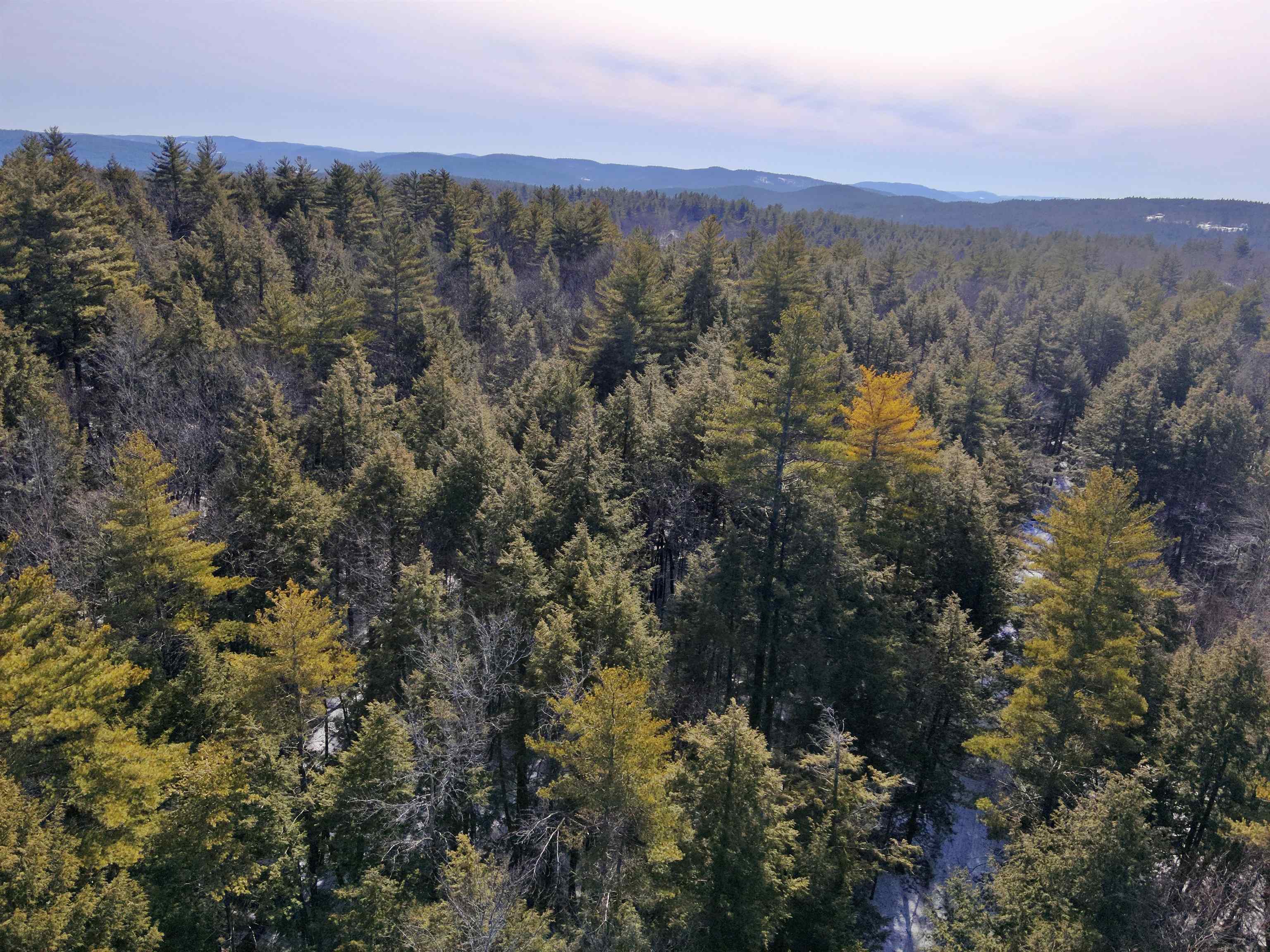 0 Old Ledge Road, Unit 1 Putney, VT 05346 - Photo 11 of 14