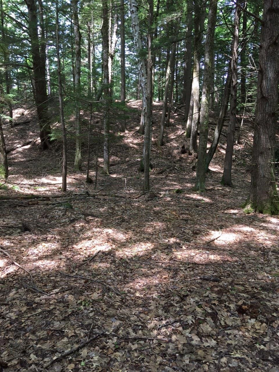 0 Old Ledge Road, Unit 1 Putney, VT 05346 - Photo 12 of 14