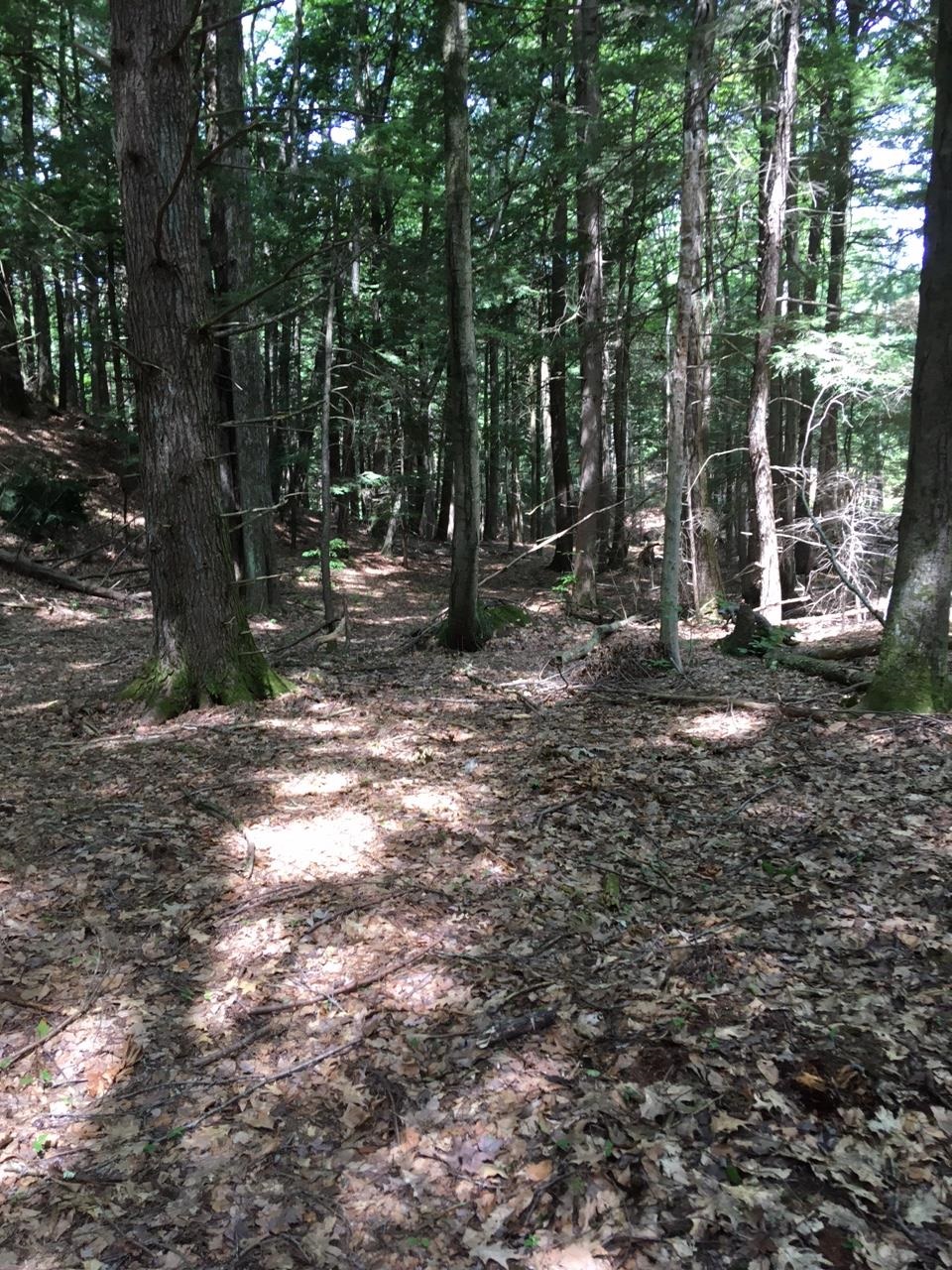 0 Old Ledge Road, Unit 1 Putney, VT 05346 - Photo 13 of 14