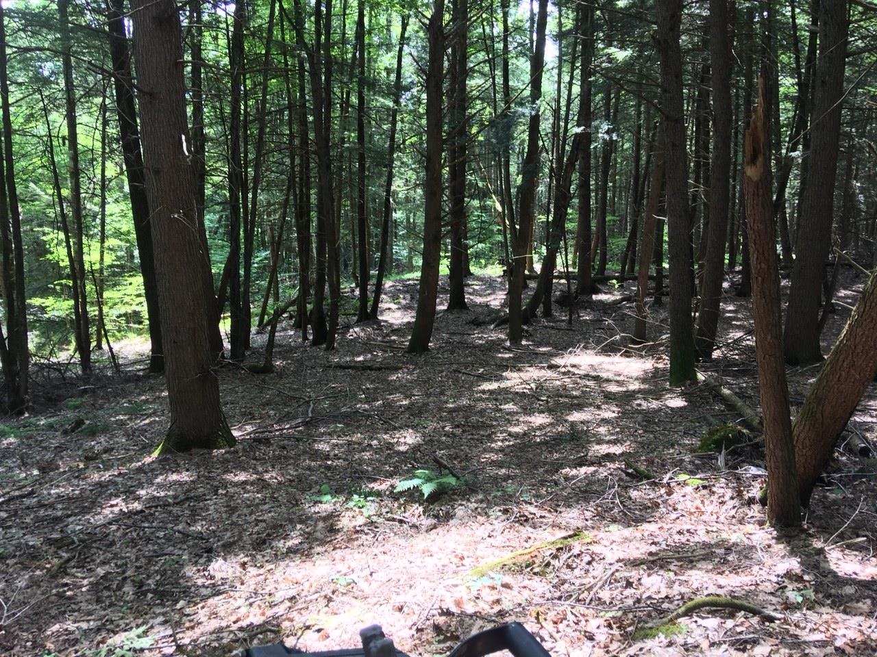 0 Old Ledge Road, Unit 1 Putney, VT 05346 - Photo 14 of 14