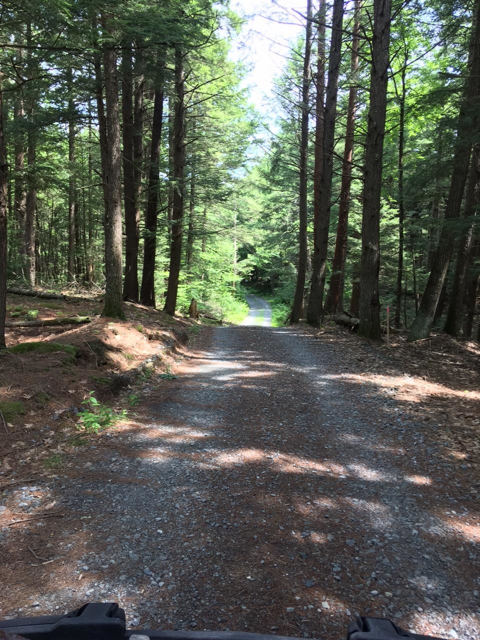 0 Old Ledge Road, Unit 1 Putney, VT 05346 - Photo 3 of 14