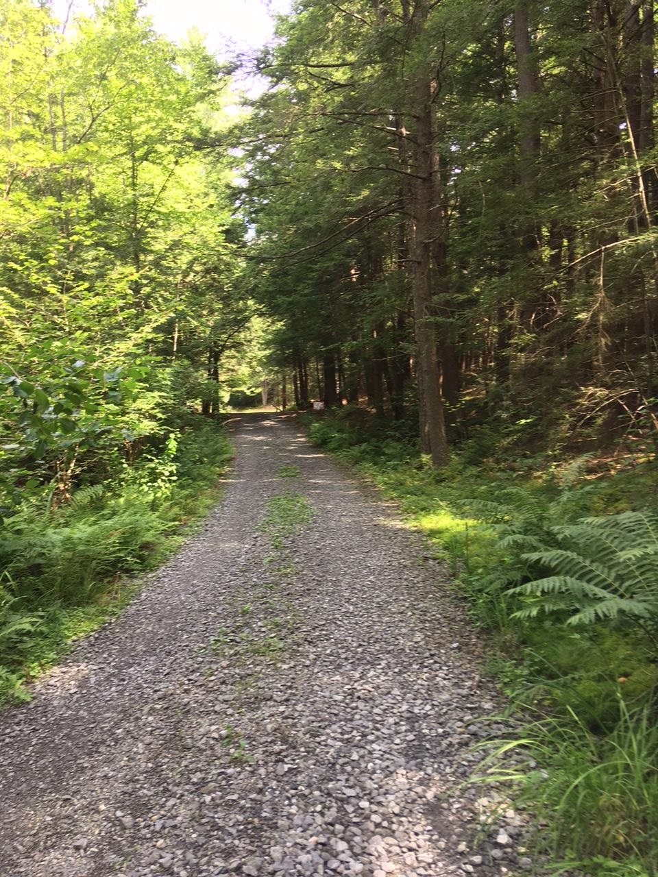 0 Old Ledge Road, Unit 1 Putney, VT 05346 - Photo 4 of 14